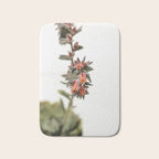 Summer Succulent #1 Bath Mat Gallery Image 1
