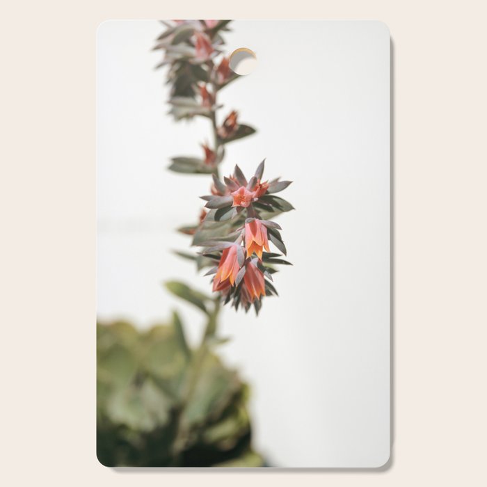 Summer Succulent #1 Cutting Board Gallery Image 1