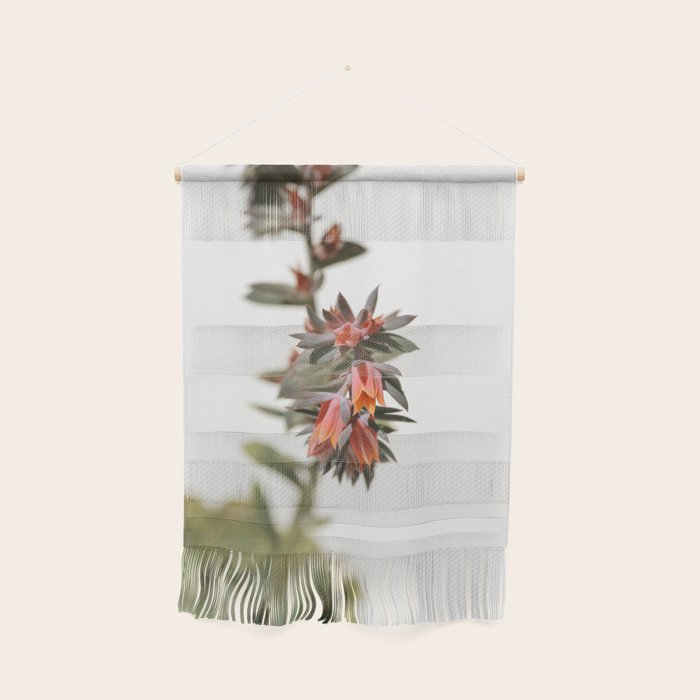 Summer Succulent #1 Wall Hanging Gallery Image 1