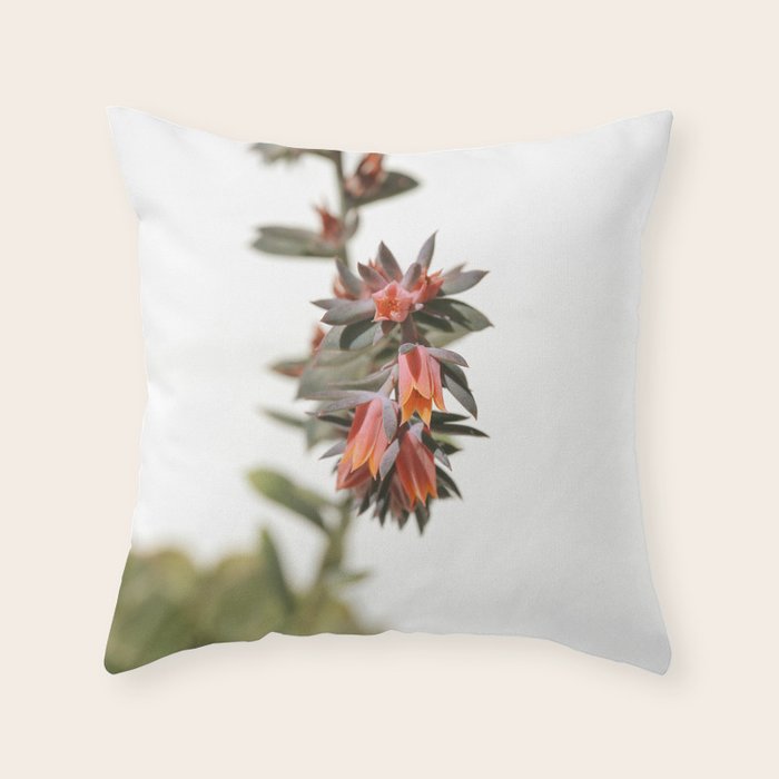 Summer Succulent #1 Throw Pillow Gallery Image 6