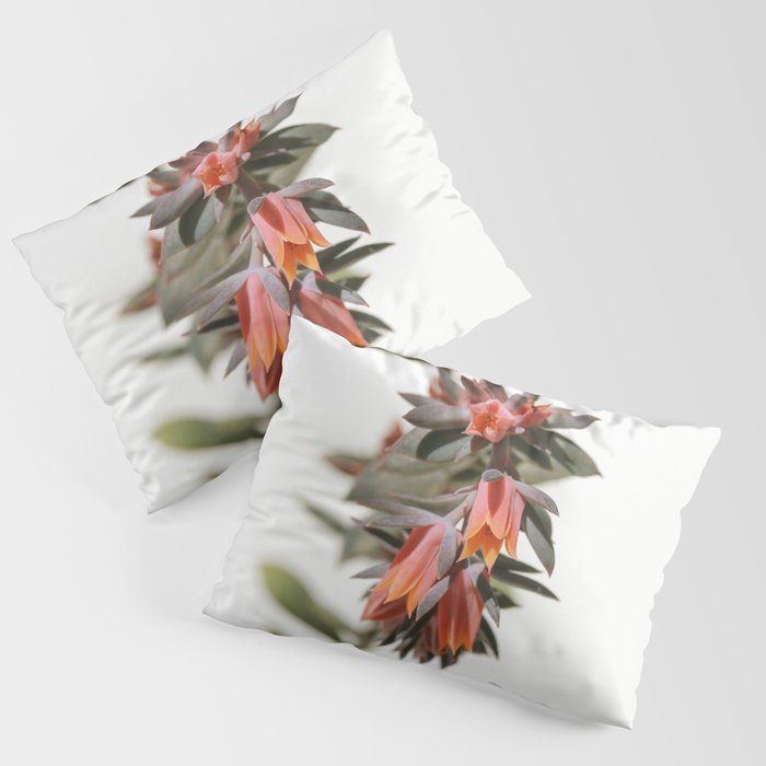 Summer Succulent #1 Pillow Sham Gallery Image 3