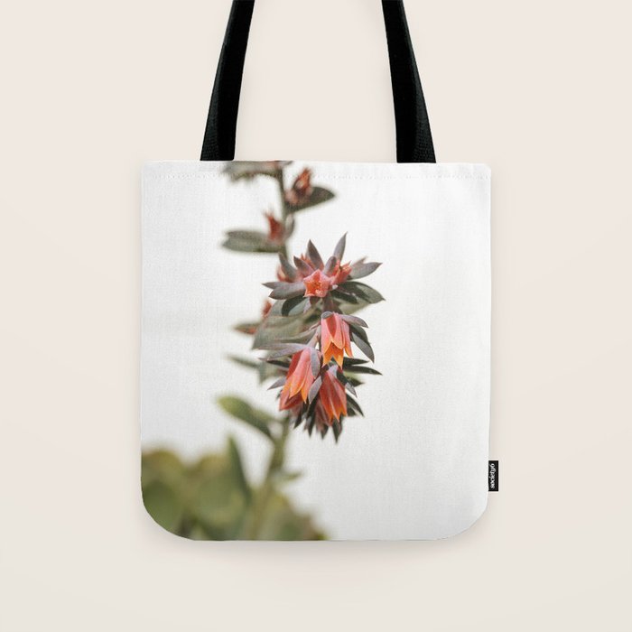 Summer Succulent #1 Tote Bag Gallery Image 1