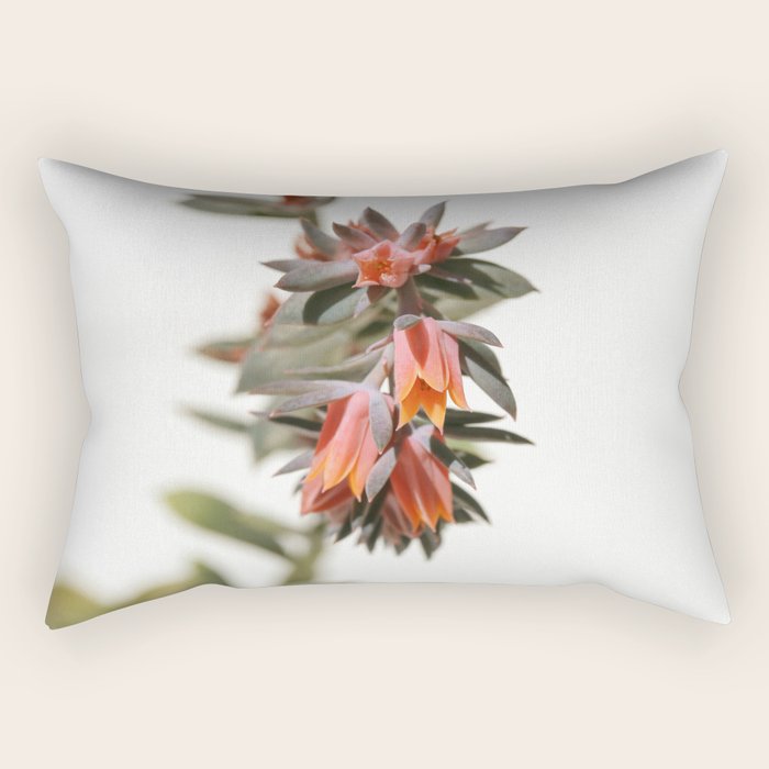 Summer Succulent #1 Rectangular Pillow Gallery Image 1