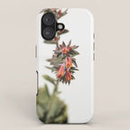 Summer Succulent #1 iPhone Case Gallery Image 1