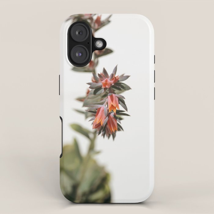Summer Succulent #1 iPhone Case Gallery Image 1