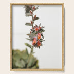 Summer Succulent #1 Serving Tray Gallery Image 1
