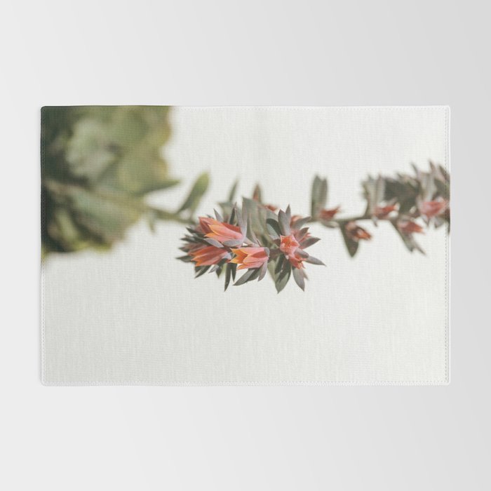 Summer Succulent #1 Rug Gallery Image 2