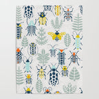 Beetle collection Poster Gallery Image 4
