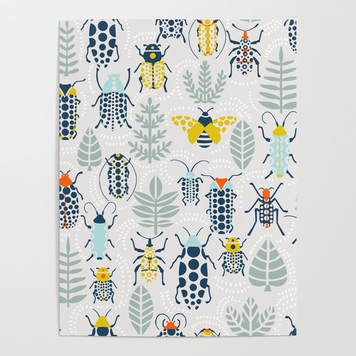 Beetle collection Poster Gallery Image 1