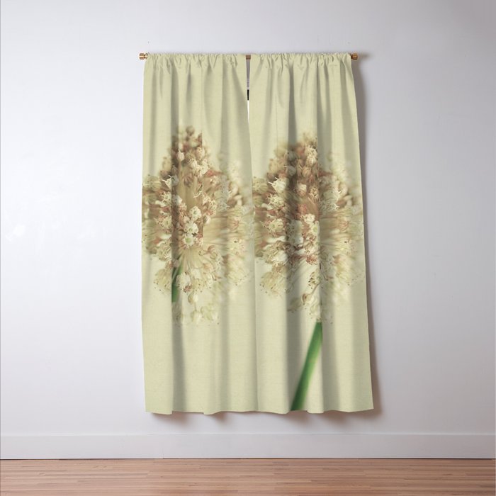 Sphere Window Curtain Gallery Image 3