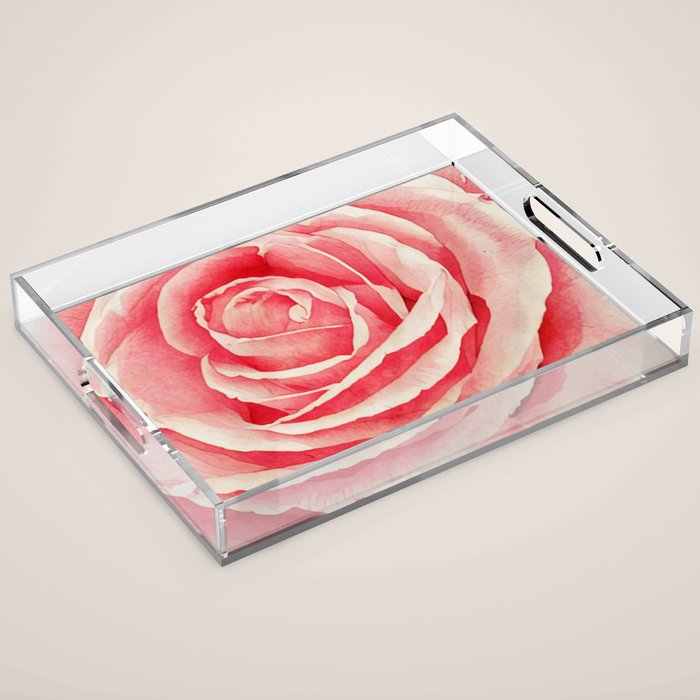 Close up pink rose Acrylic Tray Gallery Image 1