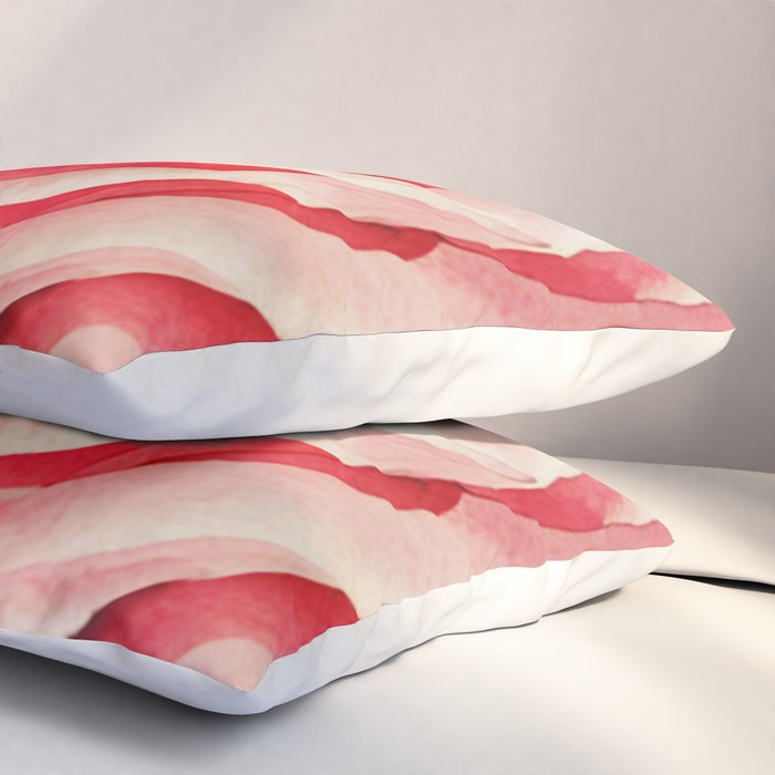 Close up pink rose Pillow Sham Gallery Image 3