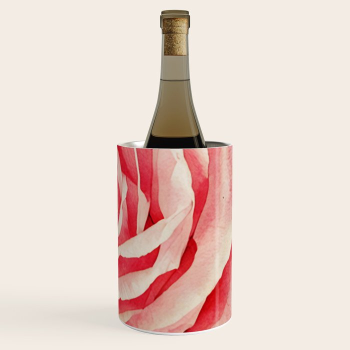 Close up pink rose Wine Chiller Gallery Image 3