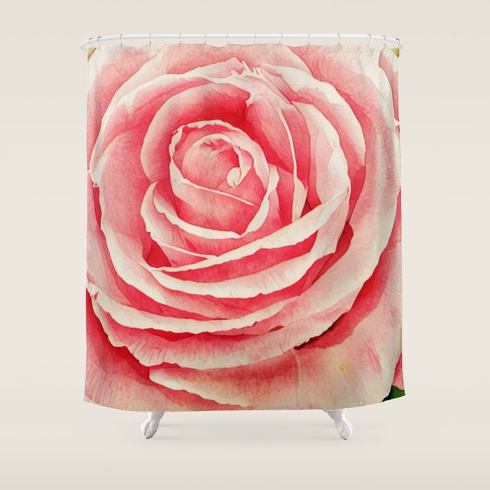 Close up pink rose Shower Curtain Gallery Image 1
