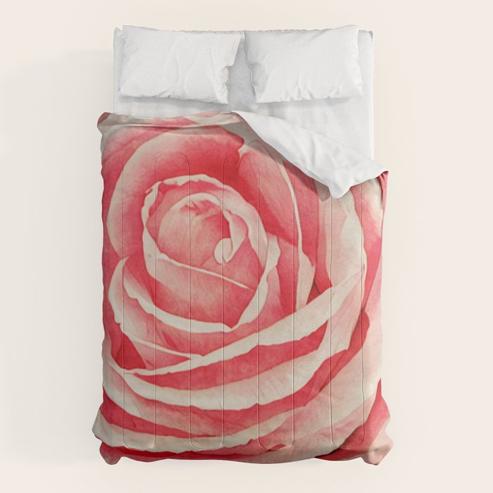 Close up pink rose Comforter Gallery Image 6