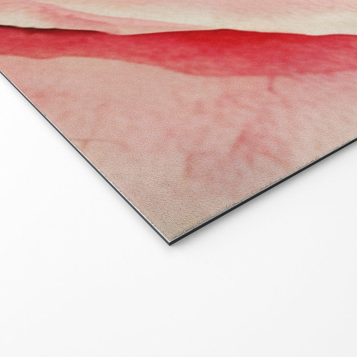 Close up pink rose Welcome Mat Gallery Image 2