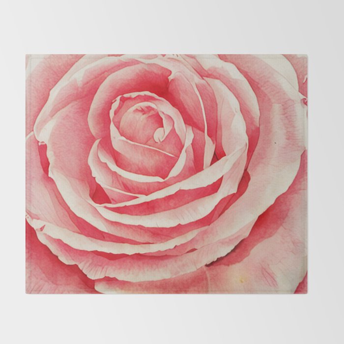 Close up pink rose Throw Blanket Gallery Image 2