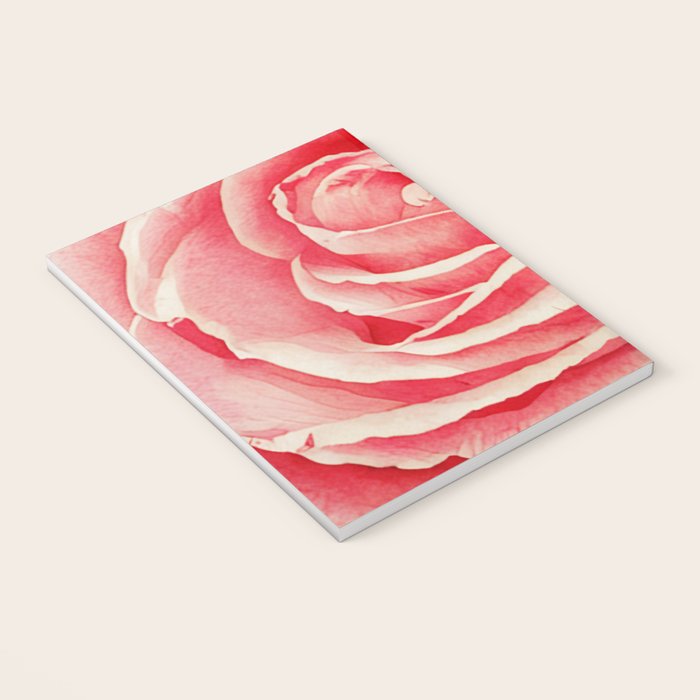 Close up pink rose Notebook Gallery Image 3