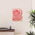 Close up pink rose Poster Gallery Image 2