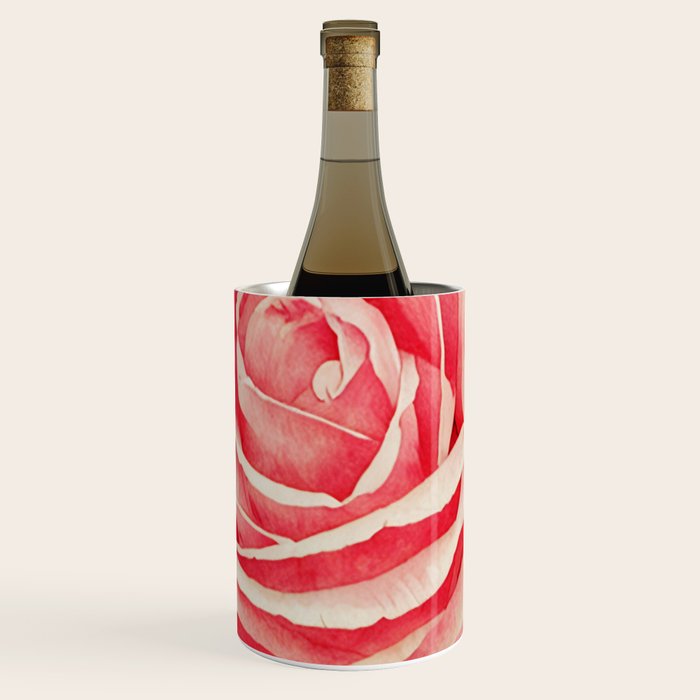 Close up pink rose Wine Chiller Gallery Image 1