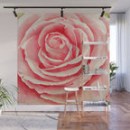 Close up pink rose Wall Mural Gallery Image 1