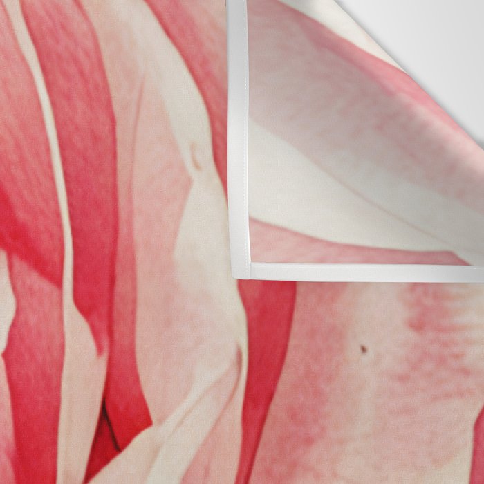 Close up pink rose Wall Tapestry Gallery Image 3