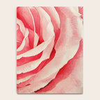 Close up pink rose Notebook Gallery Image 4