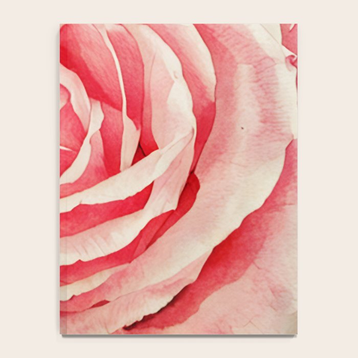 Close up pink rose Notebook Gallery Image 4