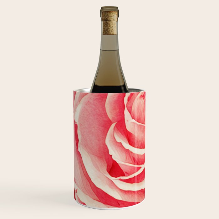 Close up pink rose Wine Chiller Gallery Image 2