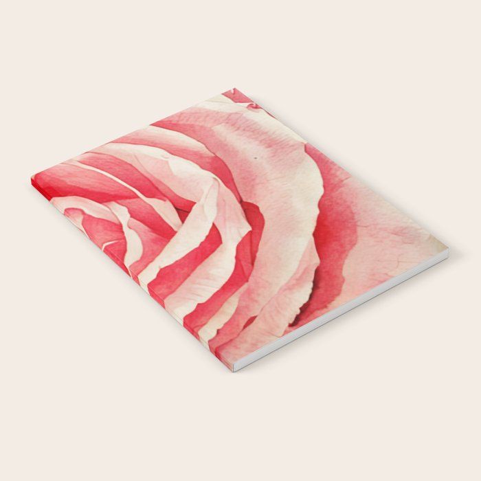 Close up pink rose Notebook Gallery Image 1