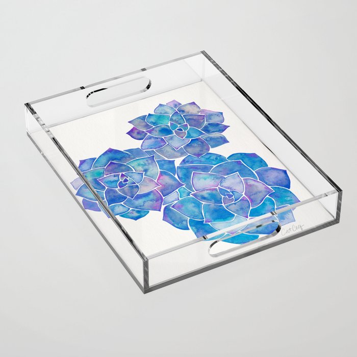 Rosette Succulents - Blue Palette Acrylic Tray Gallery Image 1