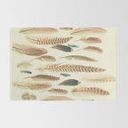 Found Feathers Rug Gallery Image 2