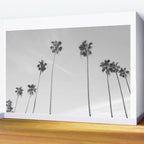 Black & White Palm Trees, Beach Palms Wall Mural Gallery Image 2