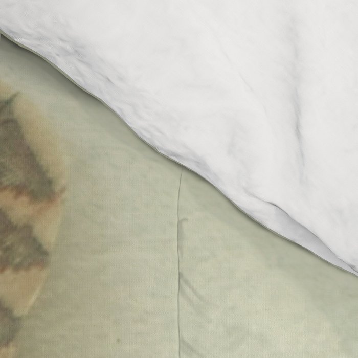 The Feather Collection Comforter Gallery Image 4