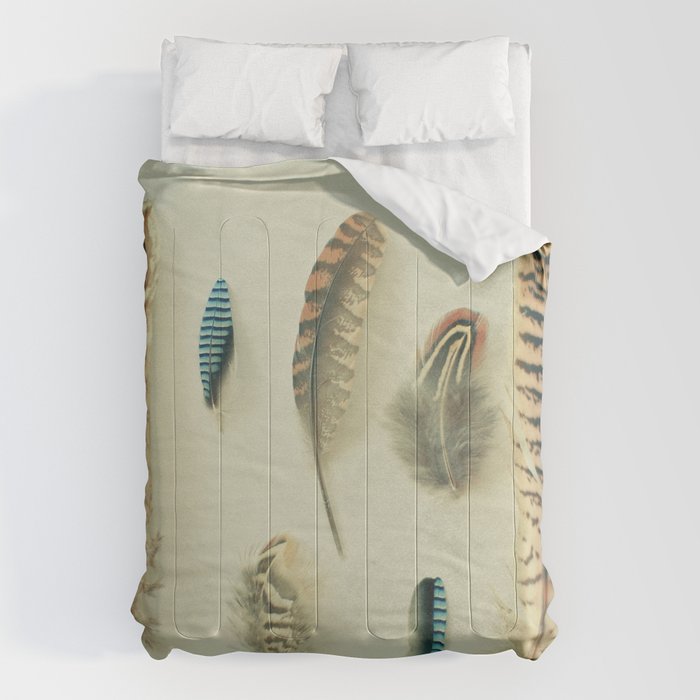 The Feather Collection Comforter Gallery Image 6
