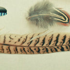 The Feather Collection Coffee Mug Gallery Image 2