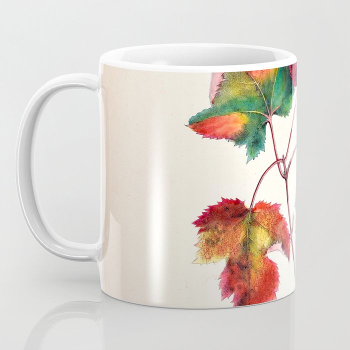 Red maple by Clarissa Munger Badger, 1859 (benefitting The Nature Conservancy) Coffee Mug Gallery Image 3