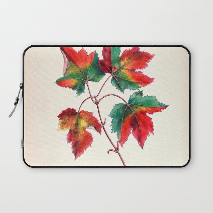 Red maple by Clarissa Munger Badger, 1859 (benefitting The Nature Conservancy) Laptop Sleeve Gallery Image 1