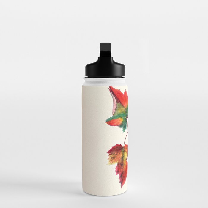Red maple by Clarissa Munger Badger, 1859 (benefitting The Nature Conservancy) Water Bottle Gallery Image 3