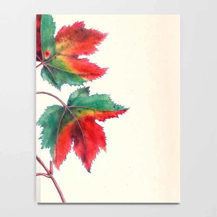 Red maple by Clarissa Munger Badger, 1859 (benefitting The Nature Conservancy) Notebook Gallery Image 4