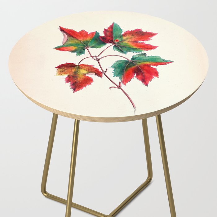 Red maple by Clarissa Munger Badger, 1859 (benefitting The Nature Conservancy) Side Table Gallery Image 2