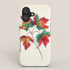 Red maple by Clarissa Munger Badger, 1859 (benefitting The Nature Conservancy) iPhone Case Gallery Image 1