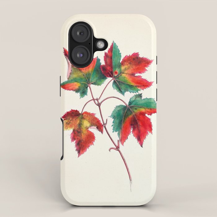 Red maple by Clarissa Munger Badger, 1859 (benefitting The Nature Conservancy) iPhone Case Gallery Image 1
