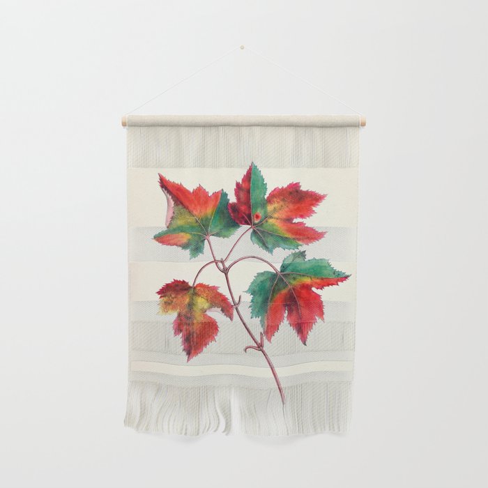 Red maple by Clarissa Munger Badger, 1859 (benefitting The Nature Conservancy) Wall Hanging Gallery Image 1