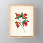 Red maple by Clarissa Munger Badger, 1859 (benefitting The Nature Conservancy) Mini Art Print Gallery Image 1