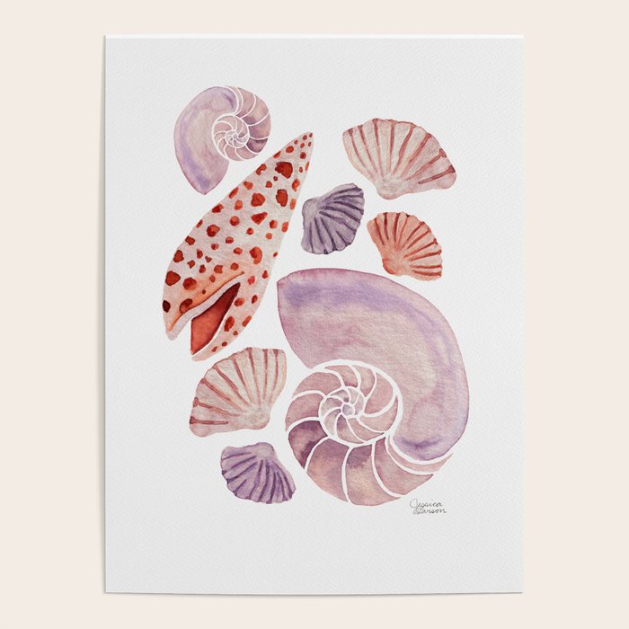 Watercolor Seashells Poster Gallery Image 4