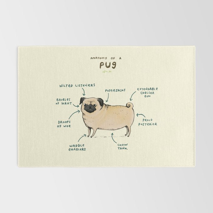 Anatomy of a Pug Rug Gallery Image 2