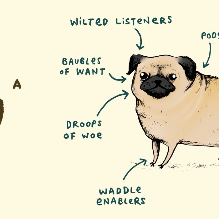 Anatomy of a Pug Coffee Mug Gallery Image 2