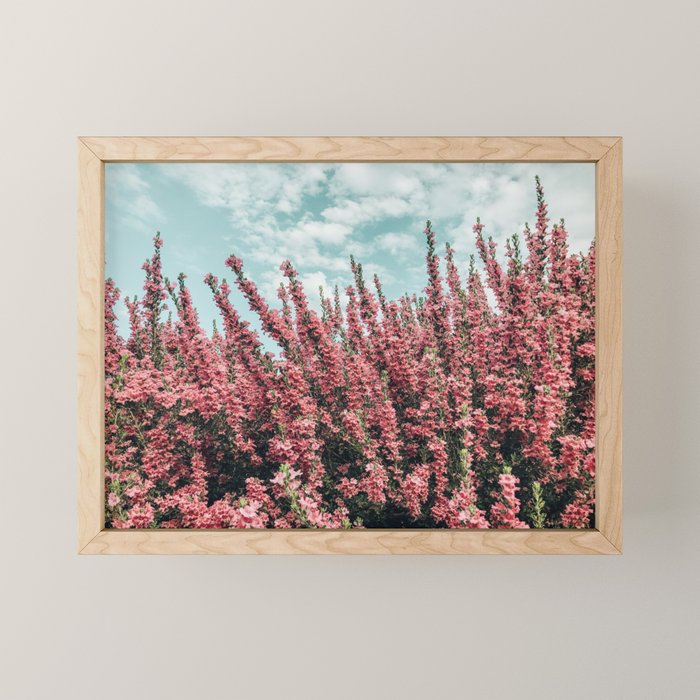 Texas Sage Bush Mini Art Print Gallery Image 1