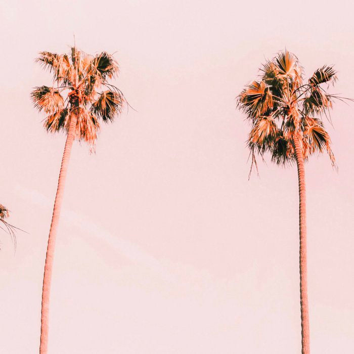 Summer Palms Coffee Mug Gallery Image 2